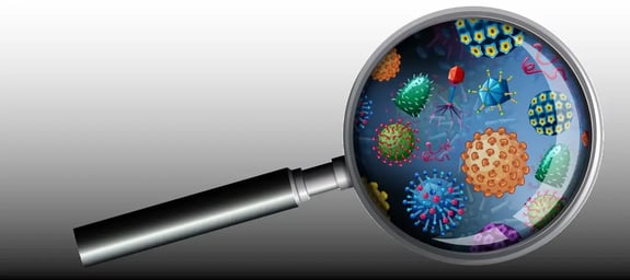 Magnifying glass with different types of microbial contamination on lens